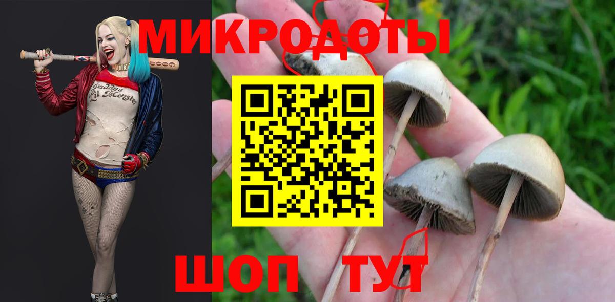 Карпинск  Галлюциногенные грибы мицелий  Вход с VPN  Галлюциногенные грибы Cubensis 