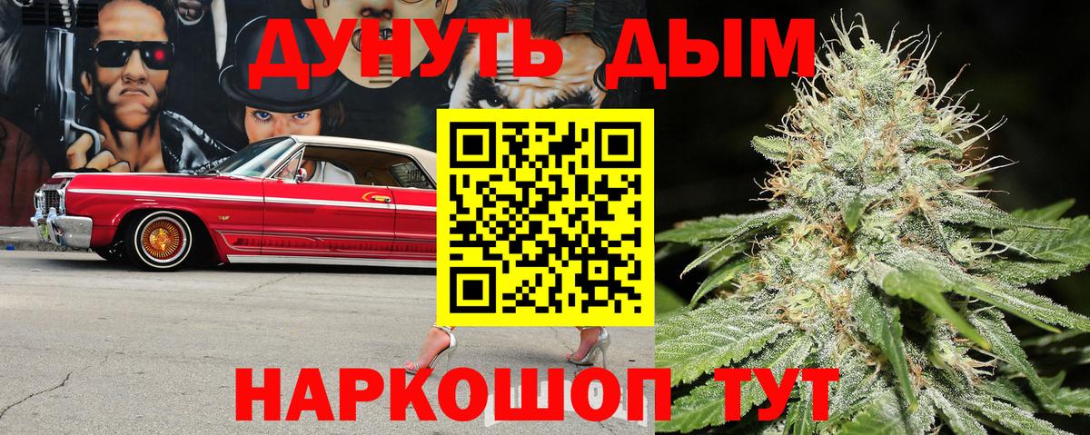 Конопля план Карпинск